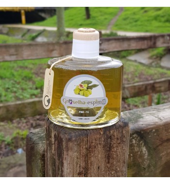 Fig Liqueur