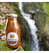 Ketchup de Pêssego Ketchup de Pêssego
