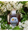 Orange and Coffee Liqueur Orange and Coffee Liqueur