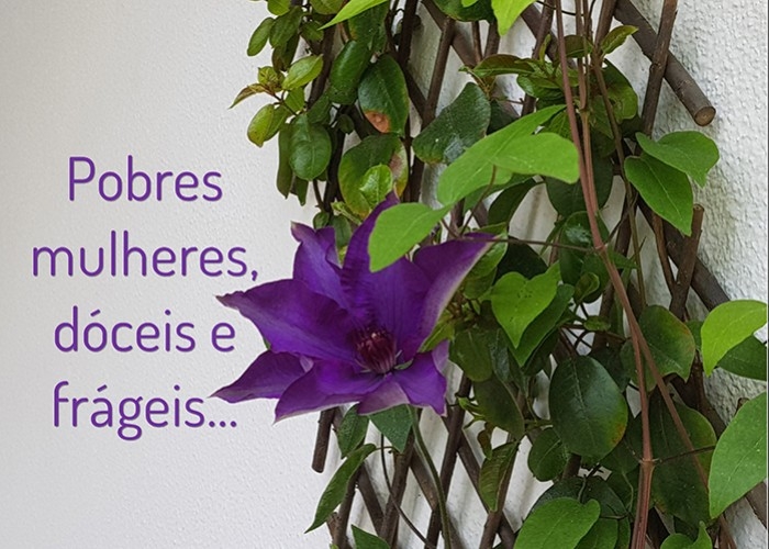 Pobres mulheres, dóceis e frágeis! O quanto precisam do “apoio” de um homem